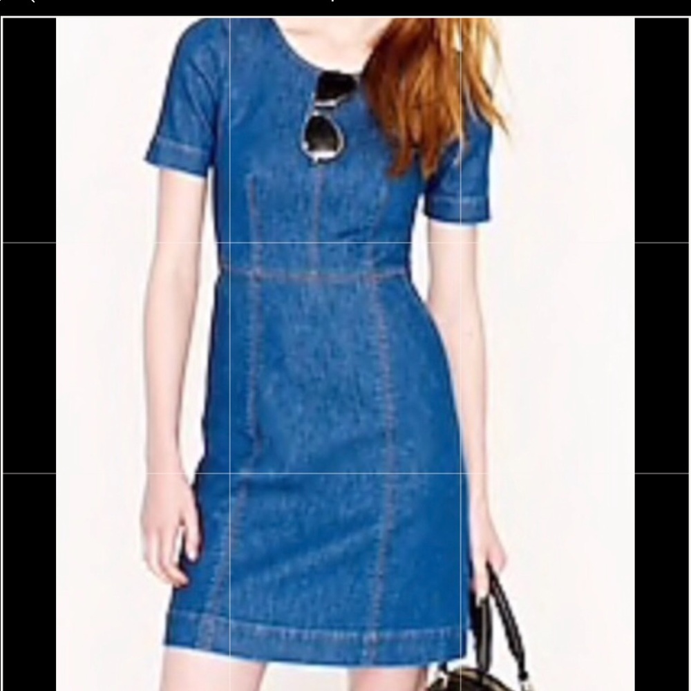 J Crew Mini Jean Dress w/ Back Zipper and Pockets